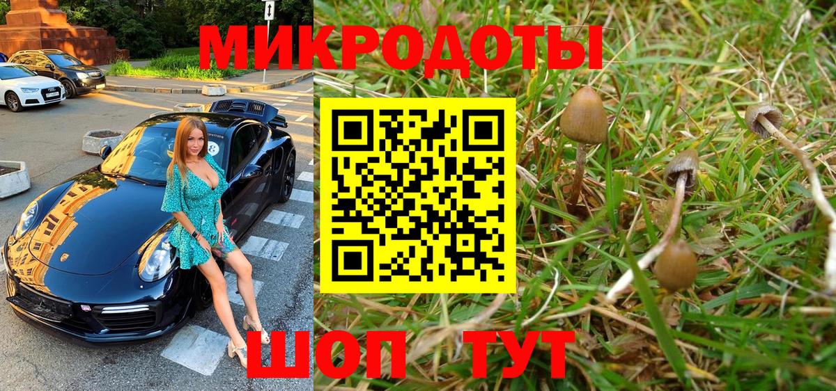 Псилоцибиновые грибы мицелий Зеленокумск