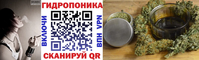Конопля ГИДРОПОН Зеленокумск