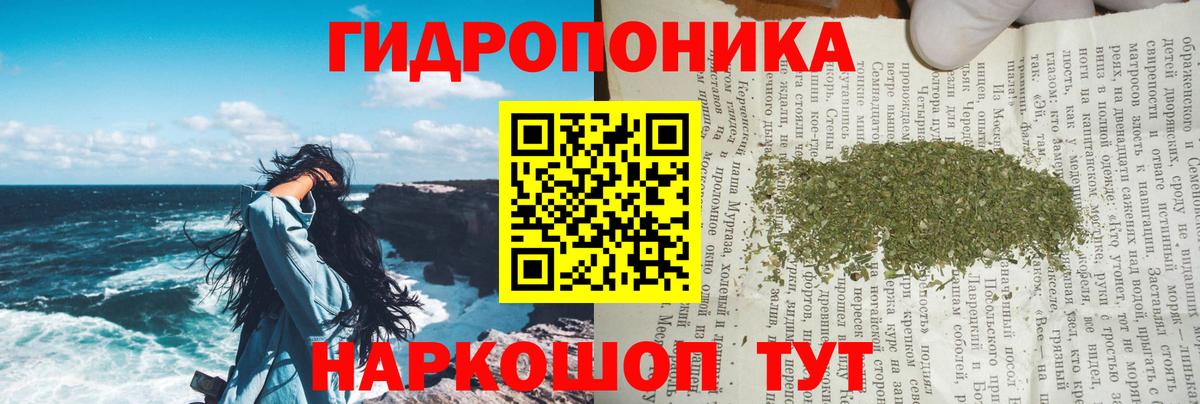 Бошки марихуана планчик  Вход с VPN  Марихуана THC 21%  Зеленокумск 